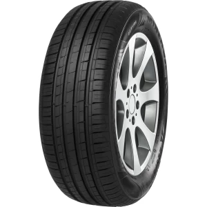 PNEU MINERVA ARO 15 195/55R15 85V F209