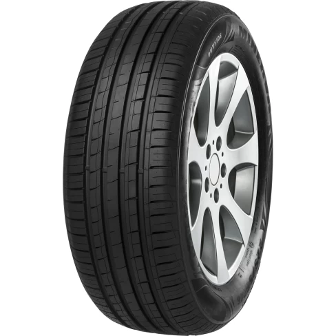 PNEU MINERVA ARO 15 195/55R15 85V F209